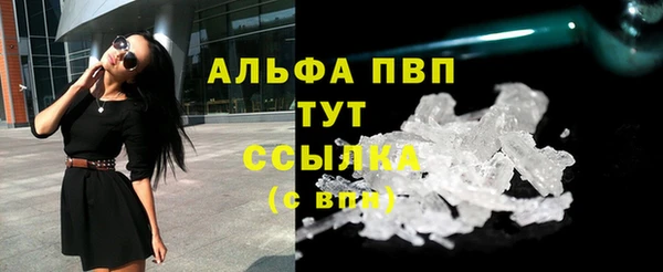 ГАЛЛЮЦИНОГЕННЫЕ ГРИБЫ Корсаков