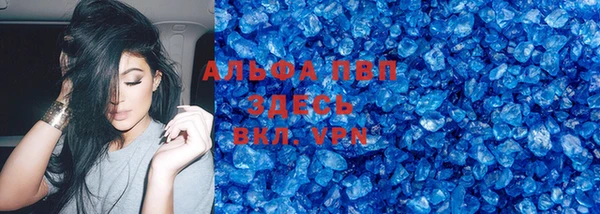 ГАЛЛЮЦИНОГЕННЫЕ ГРИБЫ Корсаков