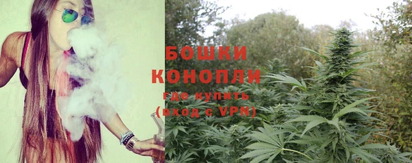 ГАЛЛЮЦИНОГЕННЫЕ ГРИБЫ Корсаков