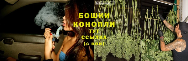 стафф Коряжма