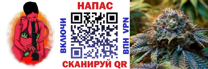 mega зеркало  где купить наркоту  Старый Крым  Канабис сатива 